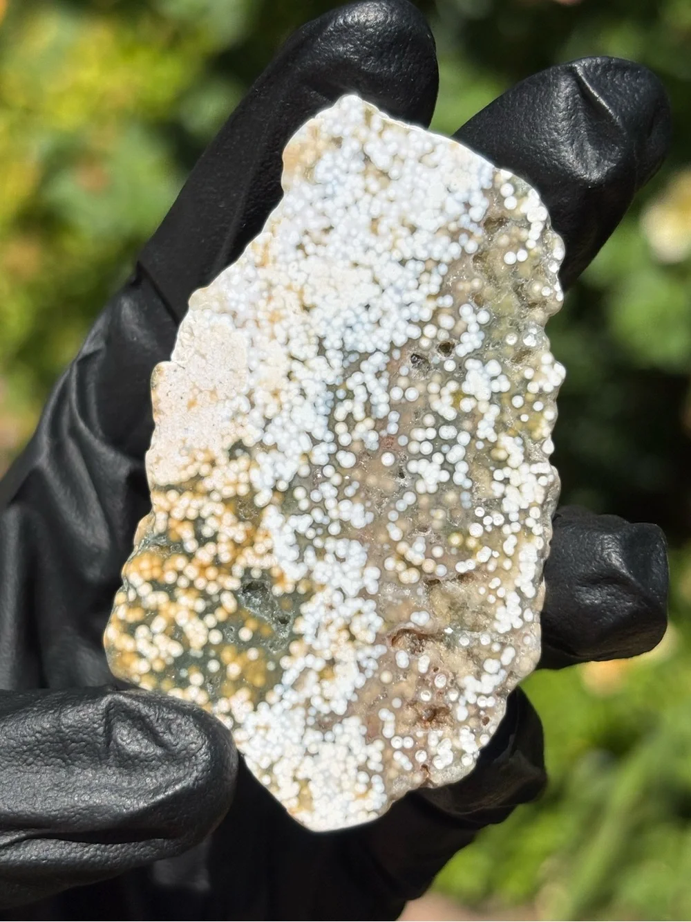 Ocean Jasper Druzy Crystal Slab - Orbicular Jasper - Polished Sea Jasper